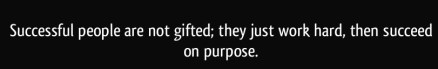 quote-successful-people-are-not-gifted-they-just-work-hard-then-succeed-on-purpose-g-k-nielson-348520